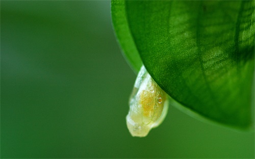 水电工程工程量清单计价规范,建筑工程工程量清单计价规范出炉