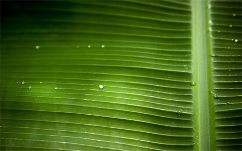 水电工程工程量清单计价规范,建筑工程工程量清单计价规范出炉